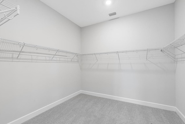 walk in closet with visible vents and carpet