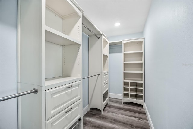 walk in closet featuring dark wood-style floors