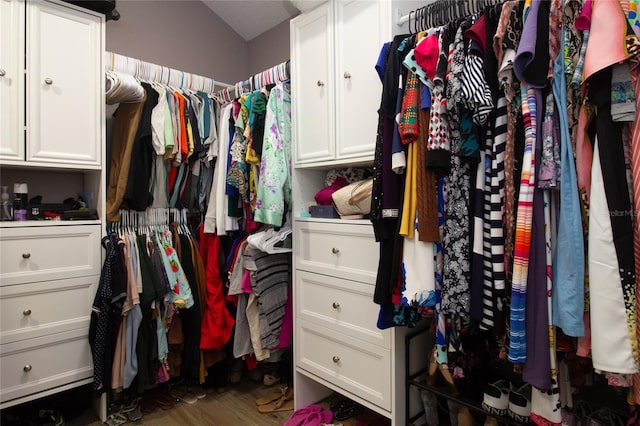 spacious closet featuring wood finished floors