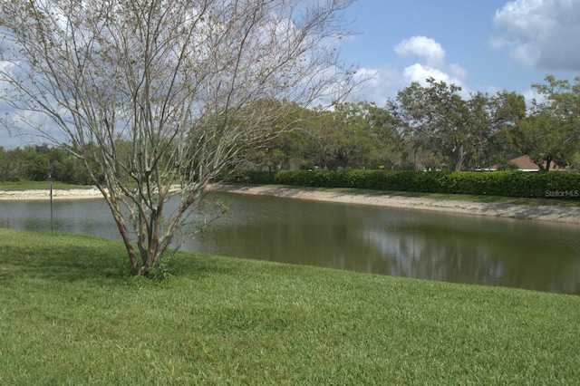 view of water feature