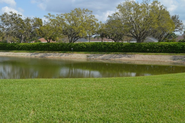 view of water feature