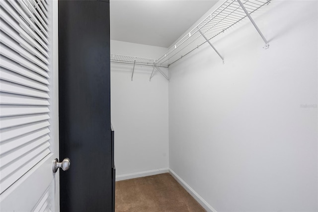 walk in closet featuring carpet floors