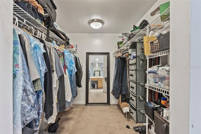 spacious closet featuring carpet flooring