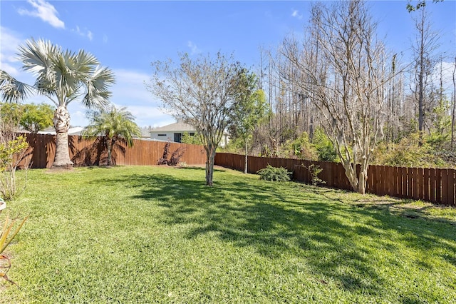 view of yard with a fenced backyard