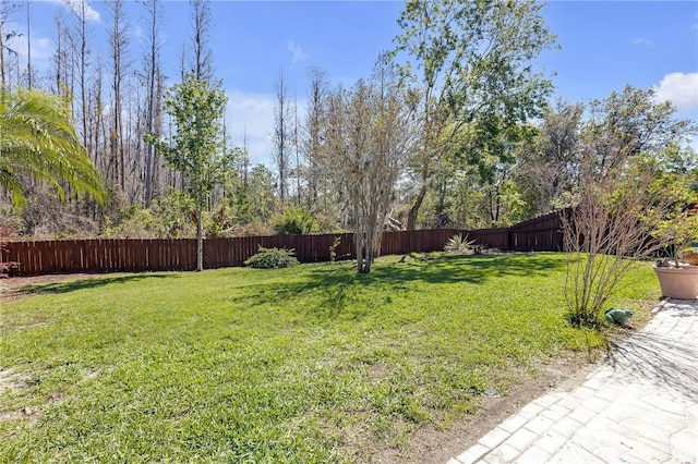 view of yard with a fenced backyard