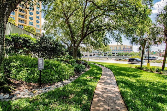 view of property's community with a lawn