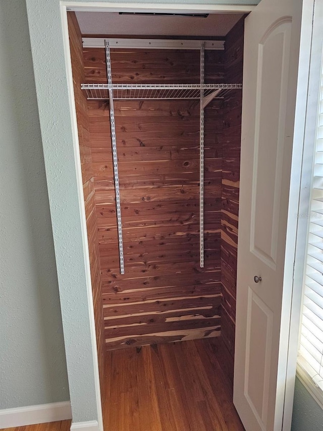 view of closet