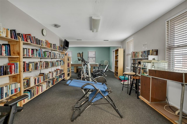 exercise area featuring carpet floors