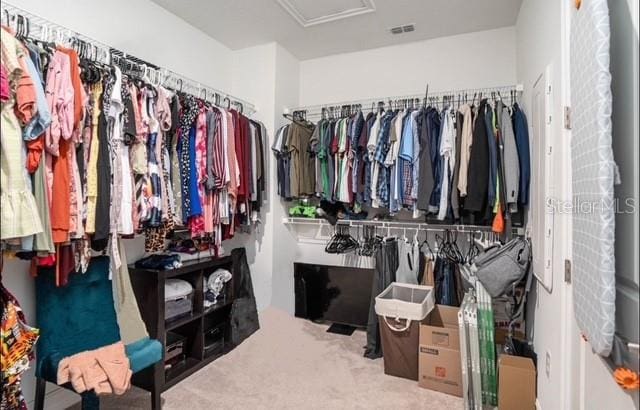 walk in closet featuring visible vents, attic access, and carpet