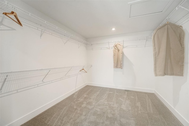 spacious closet featuring carpet