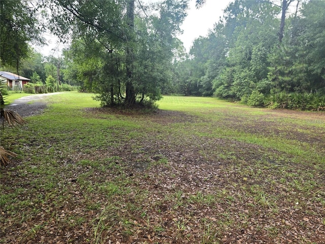 Listing photo 3 for 28639 Bennington Dr Unit Parcel A, Wesley Chapel FL 33544