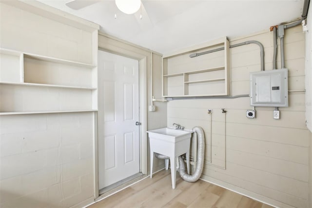 laundry area featuring electric panel, ceiling fan, light wood finished floors, hookup for a washing machine, and laundry area