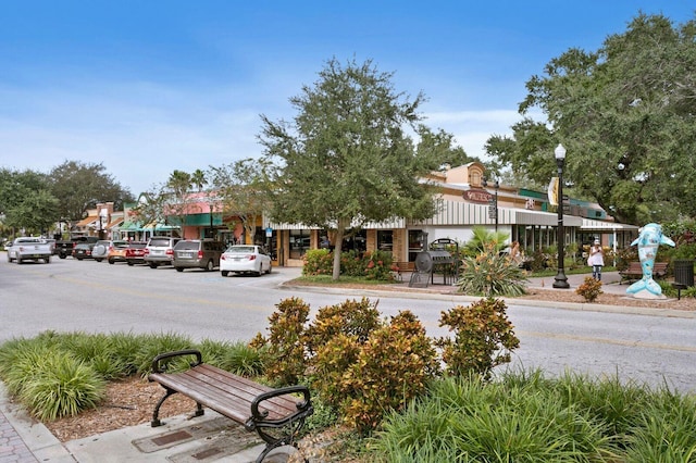 2451 Baywood Dr W, Dunedin, FL 34698 - view of community