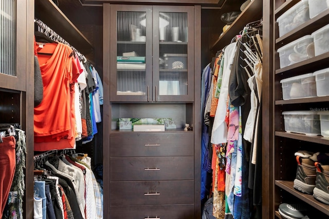 view of spacious closet