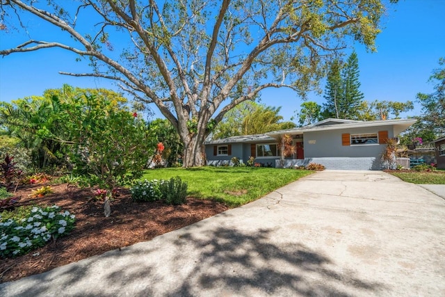 ranch-style house with brick siding, driveway, and a front lawn