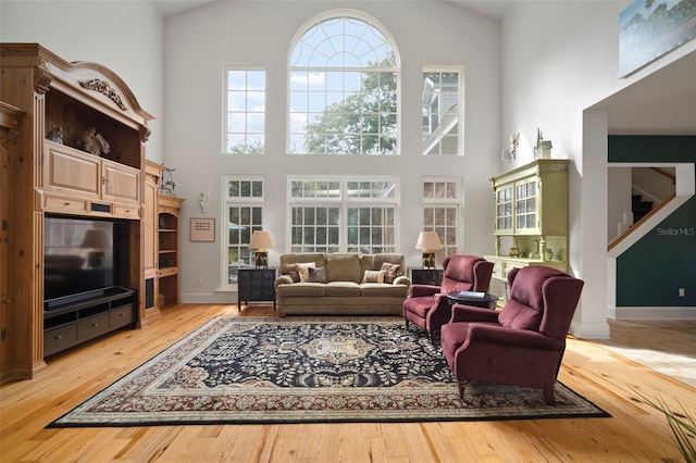 living room featuring wood-type flooring and high vaulted ceiling