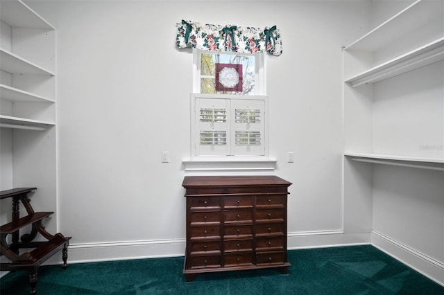 walk in closet with dark colored carpet