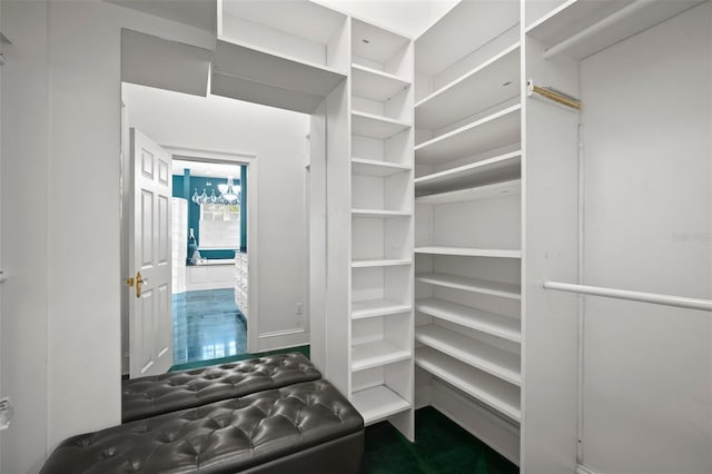 view of walk in closet