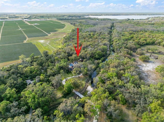 drone / aerial view featuring a wooded view and a water view