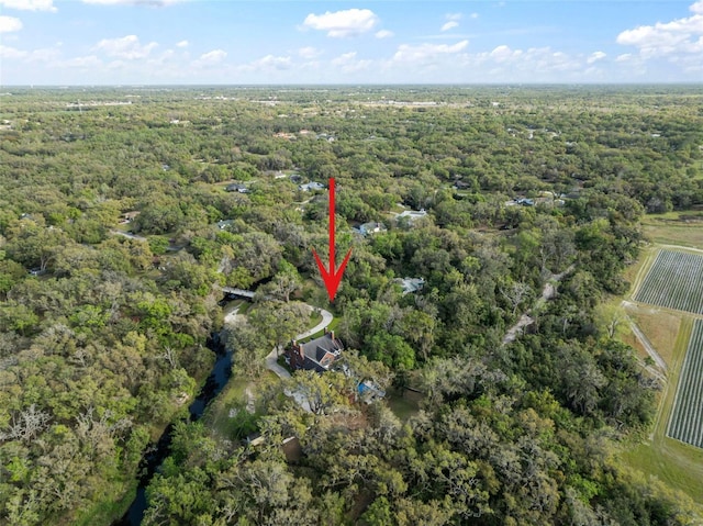 bird's eye view with a forest view