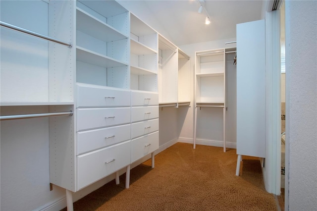 walk in closet with carpet flooring