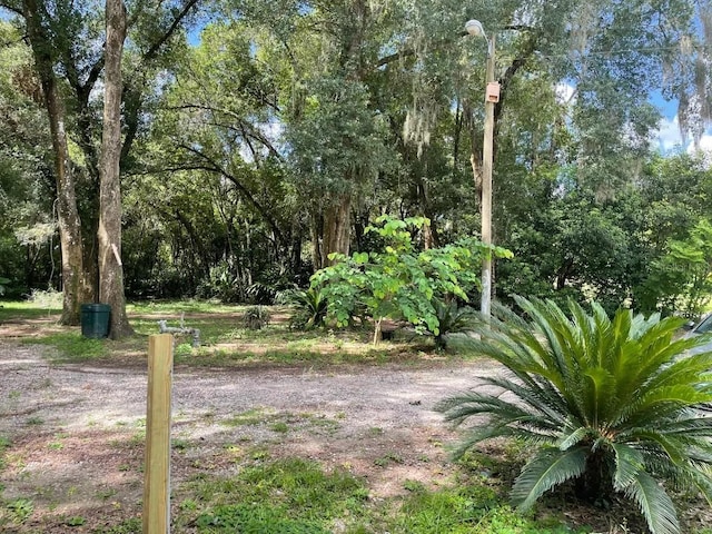 view of community