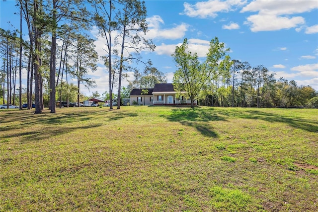 view of yard