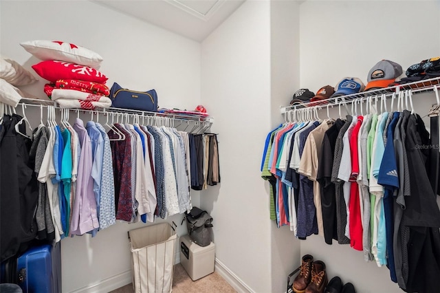 walk in closet with attic access and carpet flooring