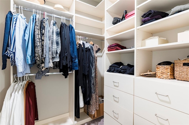 view of spacious closet