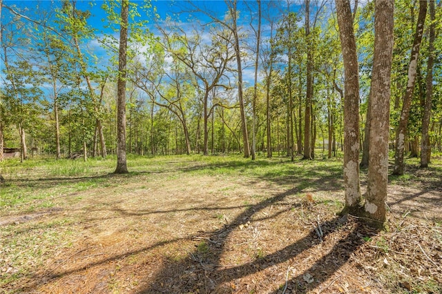 view of yard featuring a forest view