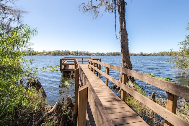 dock area featuring a water view