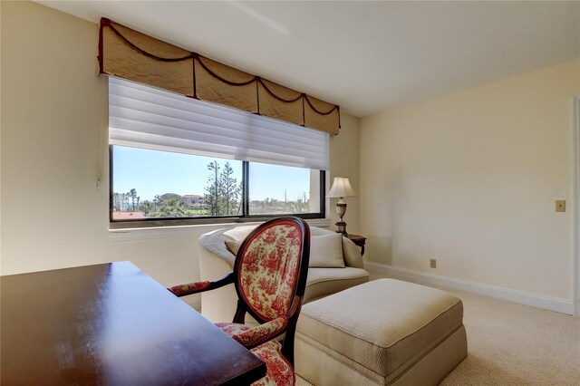 5729 Puerta Del Sol Blvd S Unit 486, Saint Petersburg, FL 33715 - photo 28