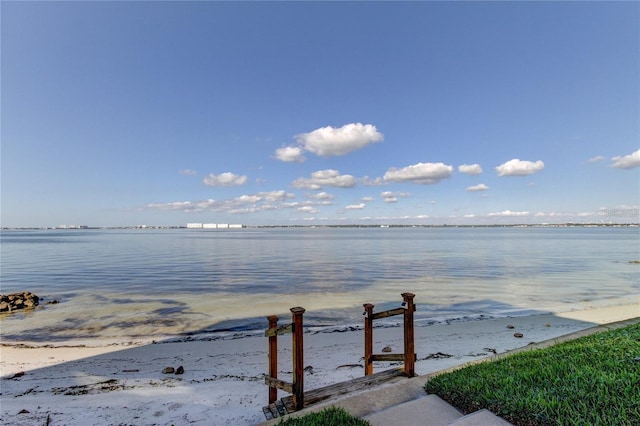 5729 Puerta Del Sol Blvd S Unit 486, Saint Petersburg, FL 33715 - photo 36