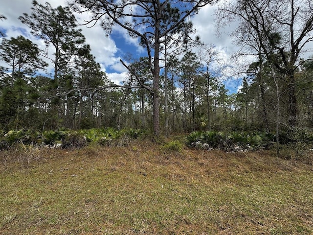 SE 128th Ave, Dunnellon FL, 34431 land for sale