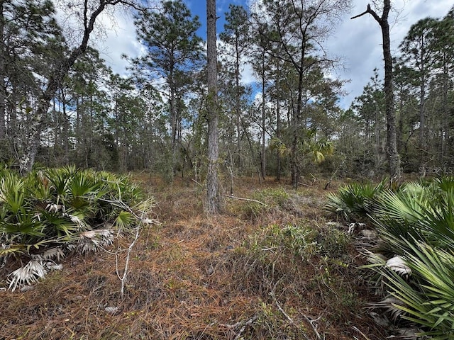 Listing photo 3 for SE 128th Ave, Dunnellon FL 34431