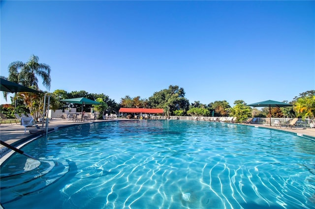 1020 New Winsor Loop Unit 46, Sun City Center, FL 33573 - community pool with a patio area