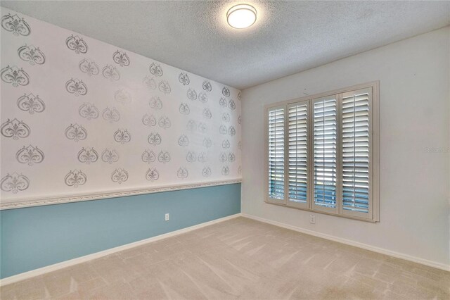 1034 Mcdaniel St Unit 1034, Sun City Center, FL 33573 - carpeted spare room featuring baseboards and a textured ceiling