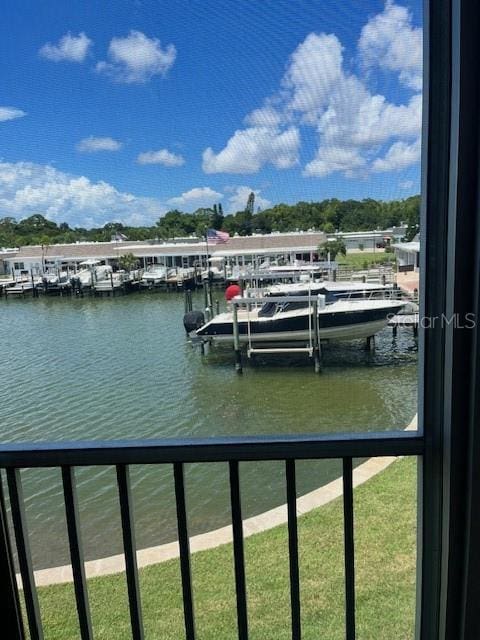 dock area with a water view