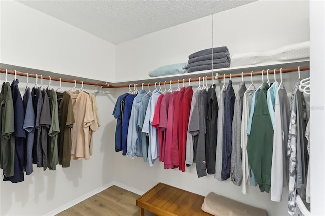 spacious closet featuring wood finished floors