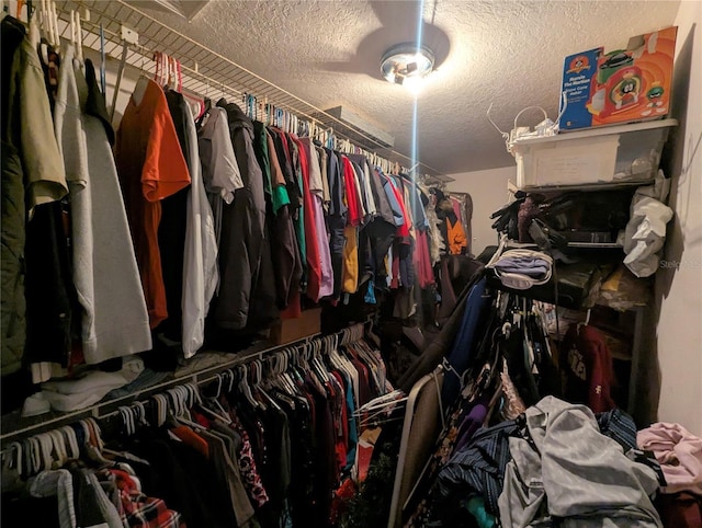 view of walk in closet