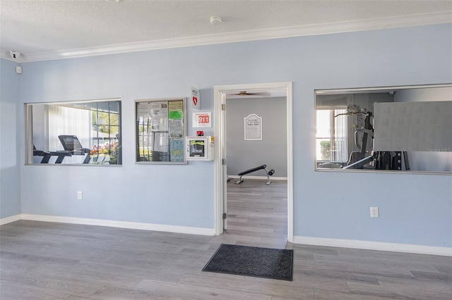 interior space featuring a wealth of natural light, baseboards, wood finished floors, and ornamental molding