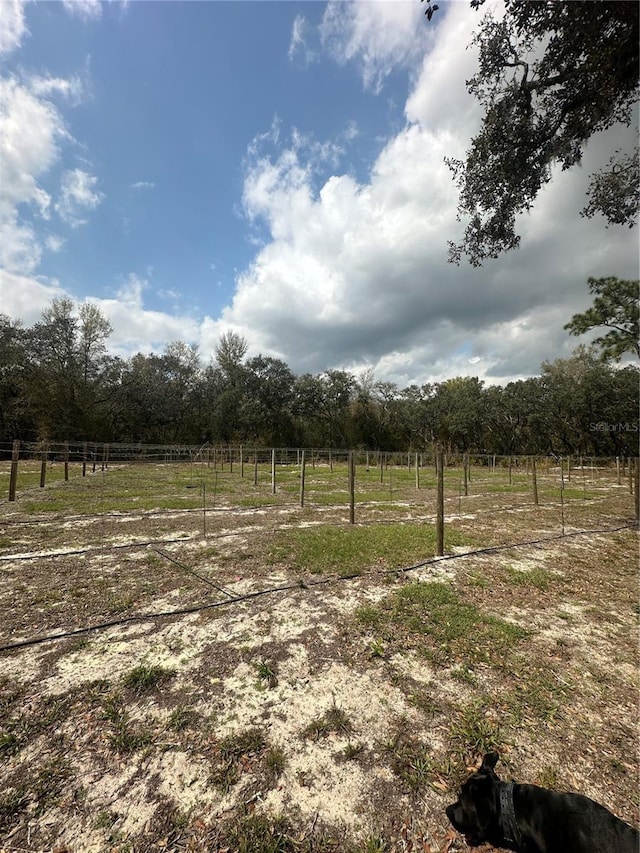 9095 Realstone Dr, Webster FL, 33597 land for sale