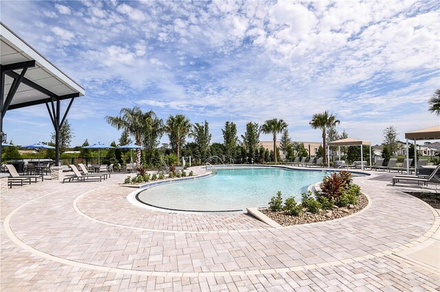 5206 125th Ave E, Parrish, FL 34219 - community pool featuring a patio area