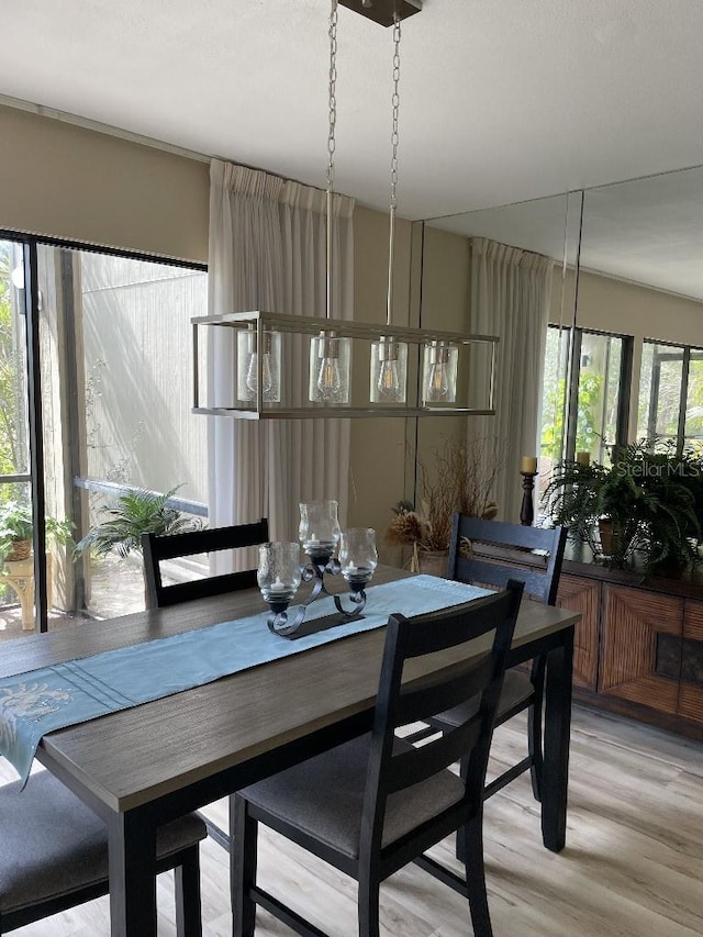 dining space featuring light wood finished floors