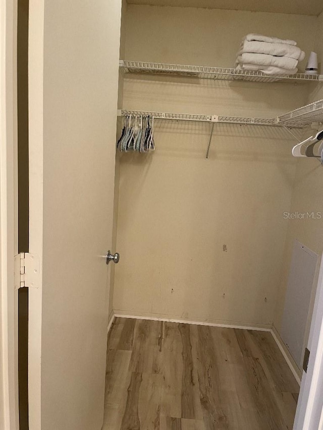 spacious closet featuring wood finished floors