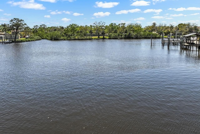 property view of water with a dock