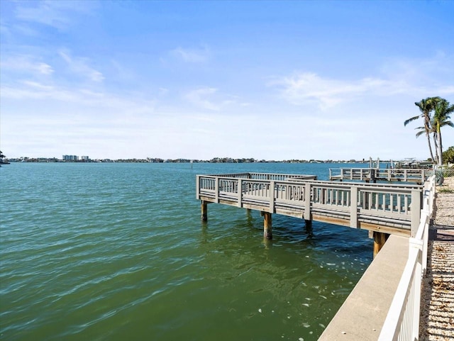 dock area with a water view