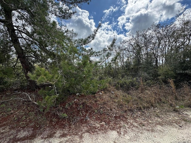 NE 66th Ln, Williston FL, 32696 land for sale