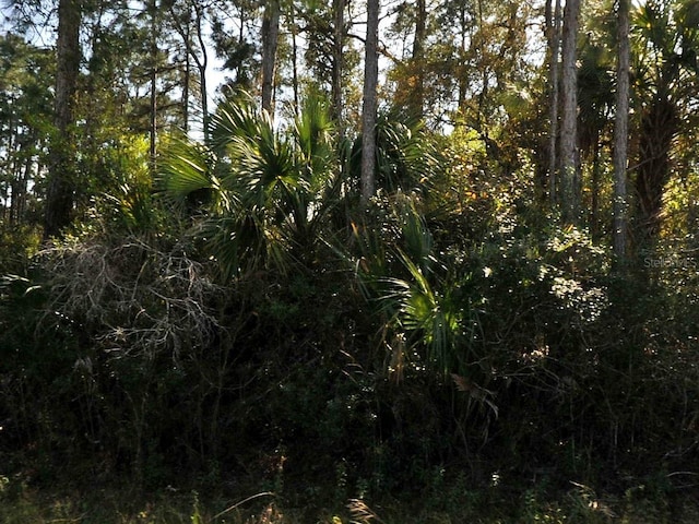 Eldron Ave, North Port FL, 34286 land for sale