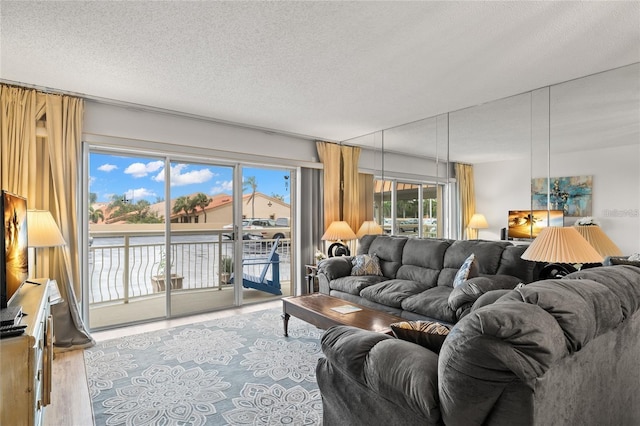 living area featuring a textured ceiling and wood finished floors